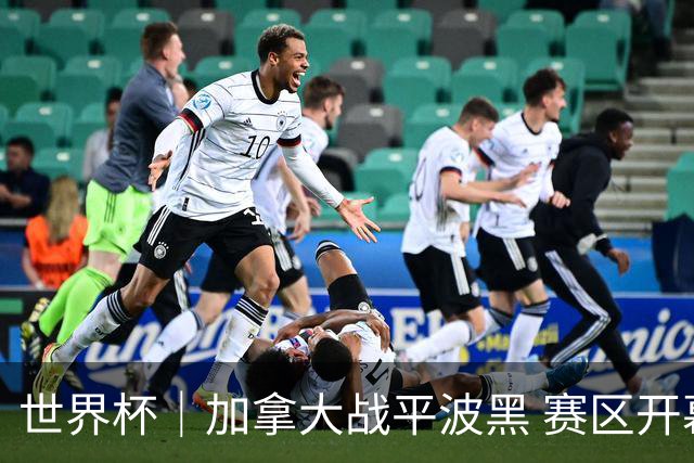 世界杯｜加拿大战平波黑 赛区开幕式表演“翻车”