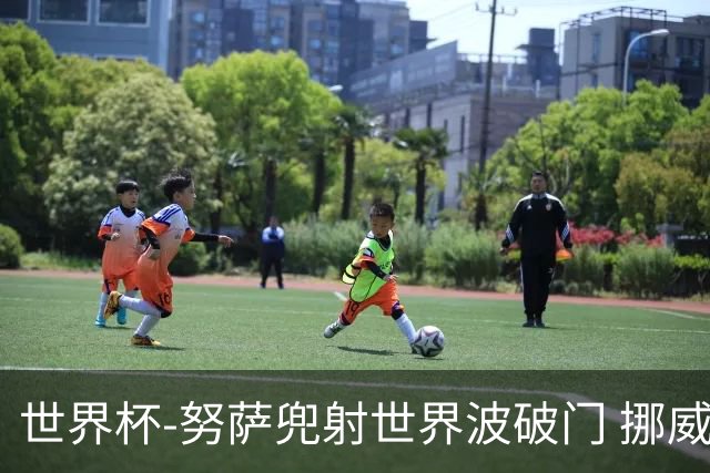 世界杯-努萨兜射世界波破门 挪威半场暂1-0科特迪瓦