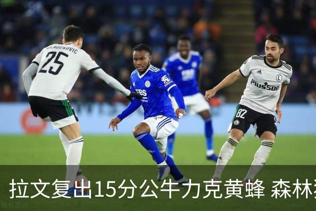 拉文复出15分公牛力克黄蜂 森林狼大胜火箭
